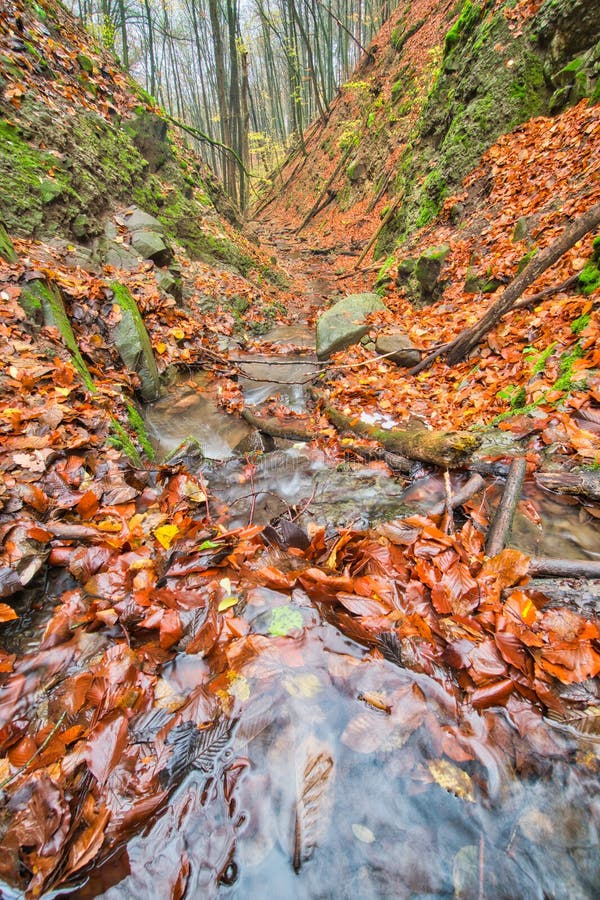 Horský potok v Turovské roklině na podzim v Kremnických vrších