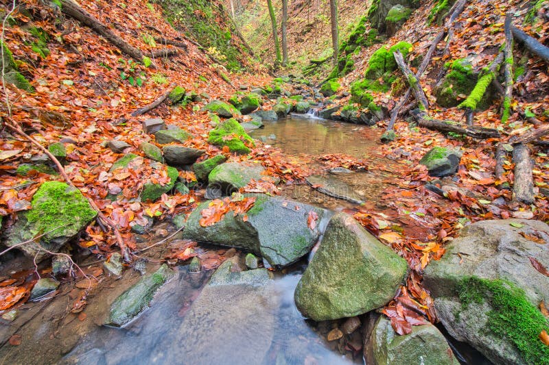 Horský potok v Turovské roklině na podzim v Kremnických vrších