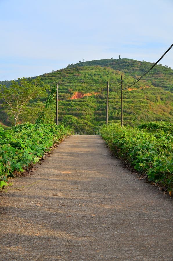 A mountain is an elevated portion of the Earth& x27;s crust, generally with steep sides that show significant exposed bedrock royalty free stock images