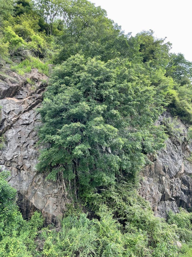 A Mountain side view in Kanyakumari Tamil Nadu royalty free stock photo