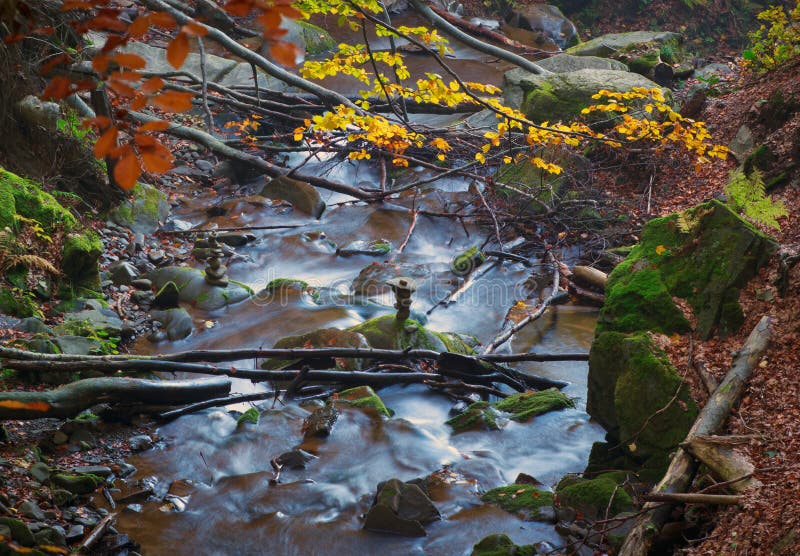 Mountain forest water stream with chaotic broken branches. royalty free stock photography Mountain forest water stream with chaotic broken branches. royalty free stock photography