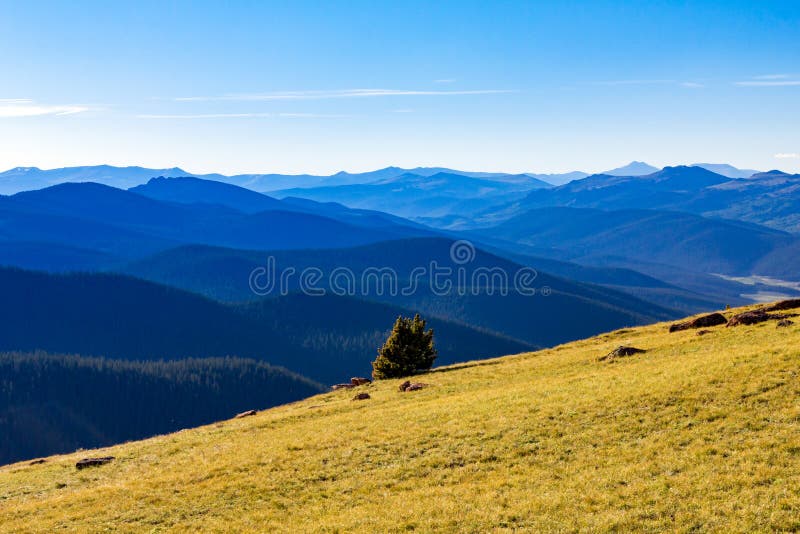 Mountain Forest Wilderness Landscape in Colorado stock photography Mountain Forest Wilderness Landscape in Colorado stock photography