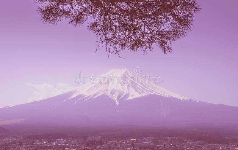 Fuji in winter framed by dry fall tree in pink color royalty free stock photography Fuji in winter framed by dry fall tree in pink color royalty free stock photography