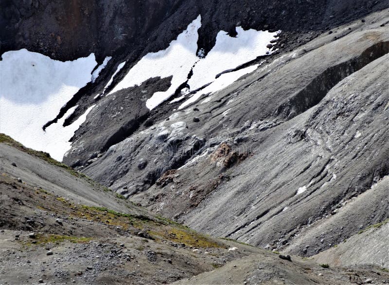 Mountain Goats Living on an Alpine Slope Stock Photo Image of mount