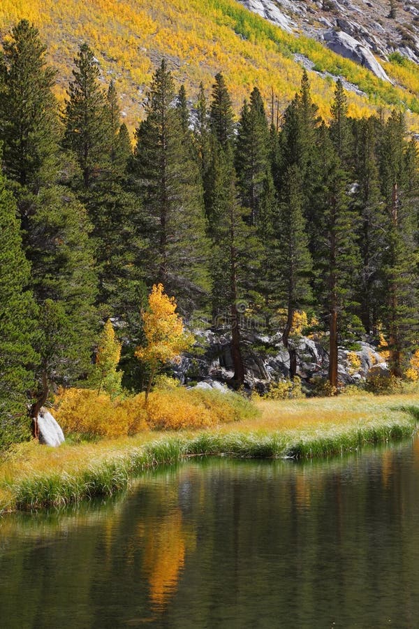 A Mountain Lake in California Stock Image Image of season, outdoors