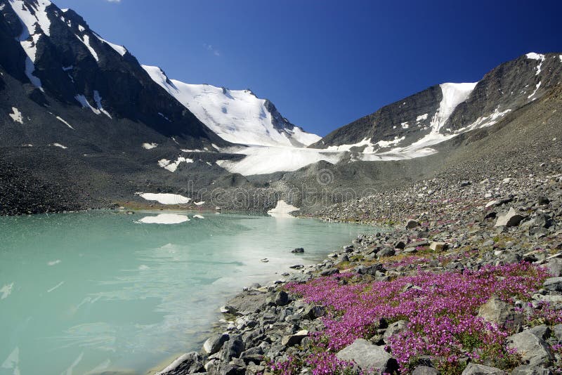 Mountain lake and flowers