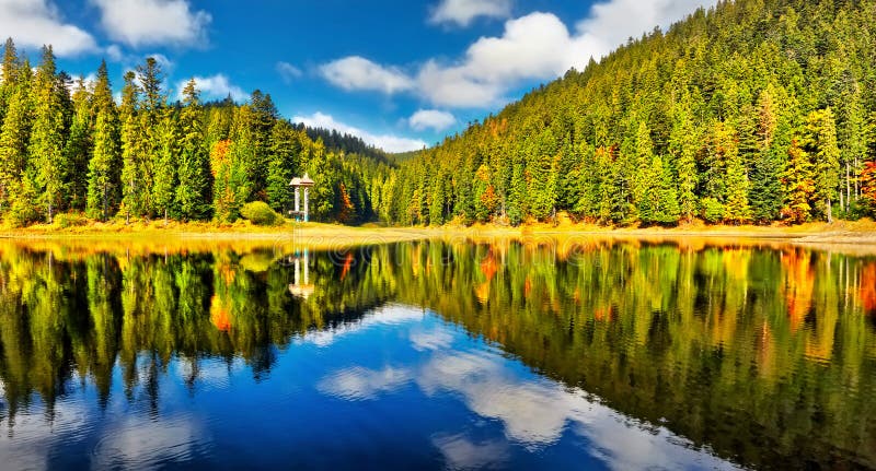 Mountain lake in the forest