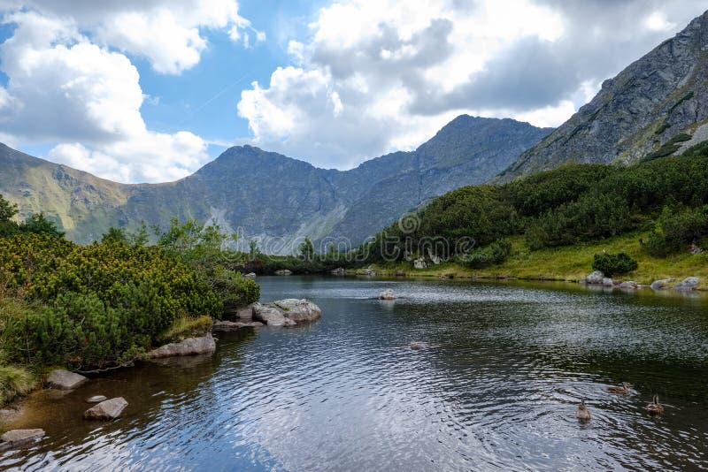 Horské jezero v pozdním létě ve slovenských Karpatských Tatrách