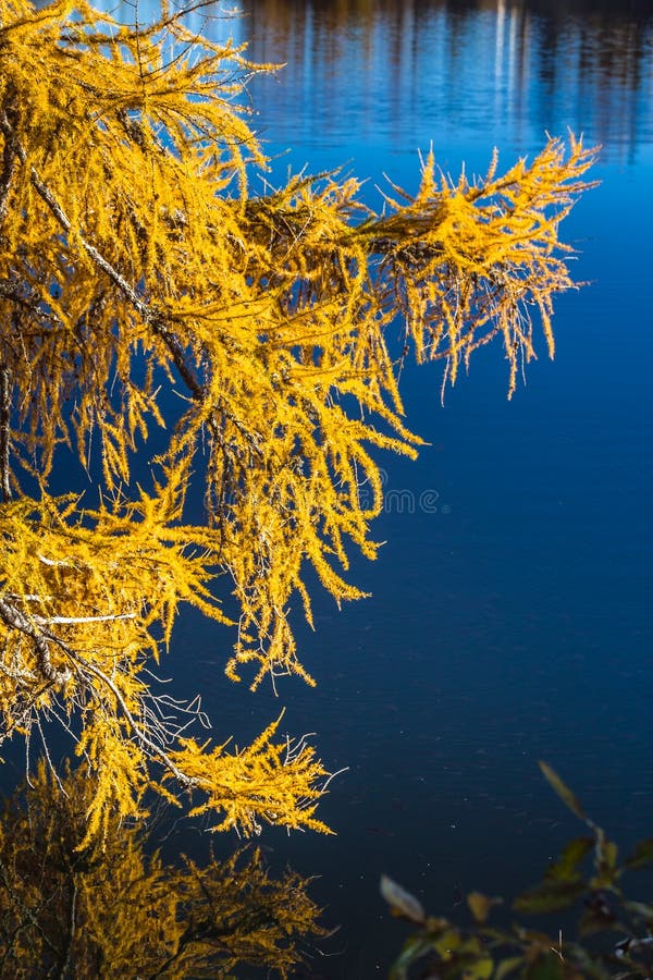 Strbske lake Slovakia