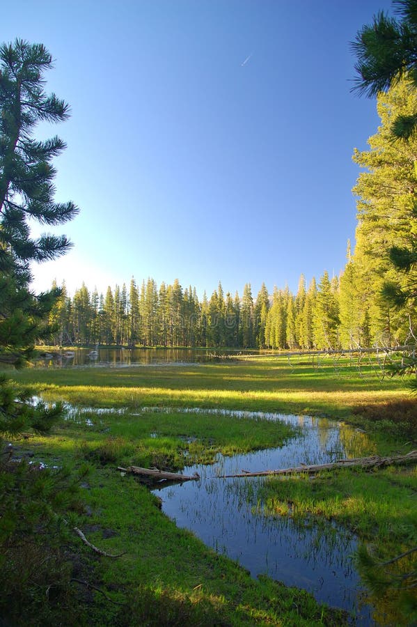 Mountain lake in springtime