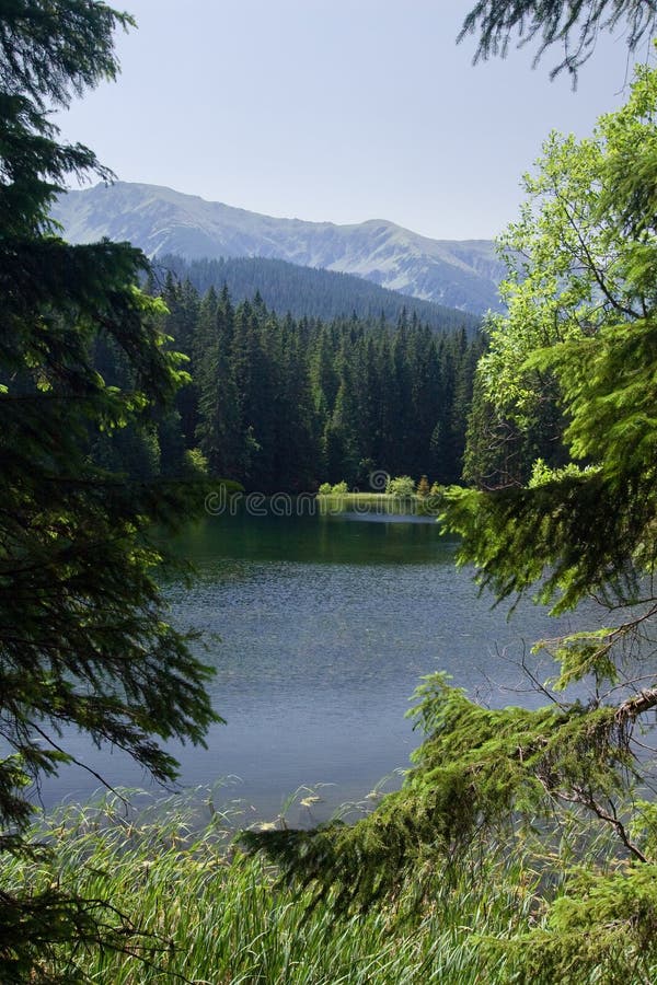 Horské jezero v létě