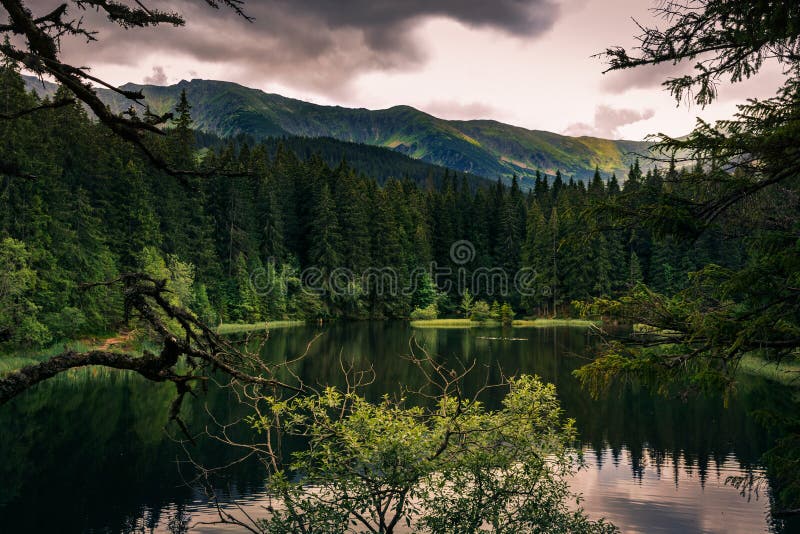 Horské jezero v létě obklopené kopci a stromy