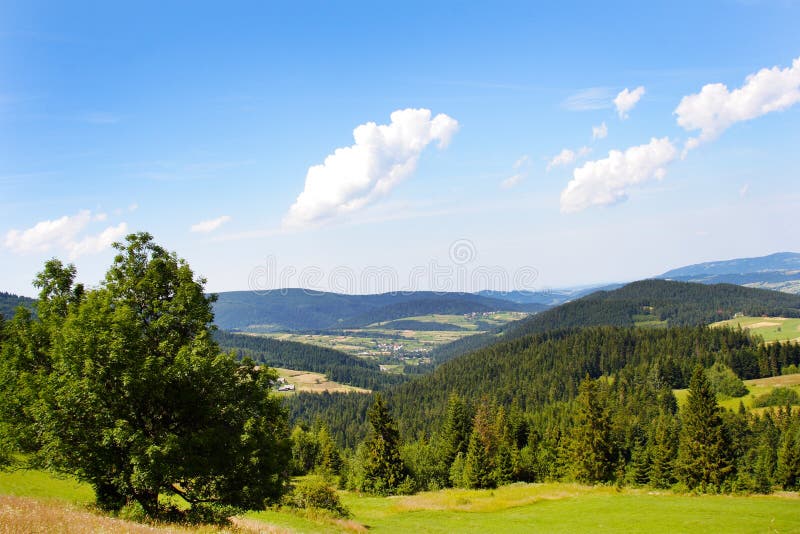 Mountain Landscape