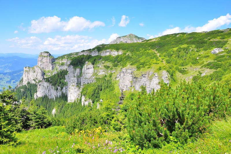 Mountain Landscape