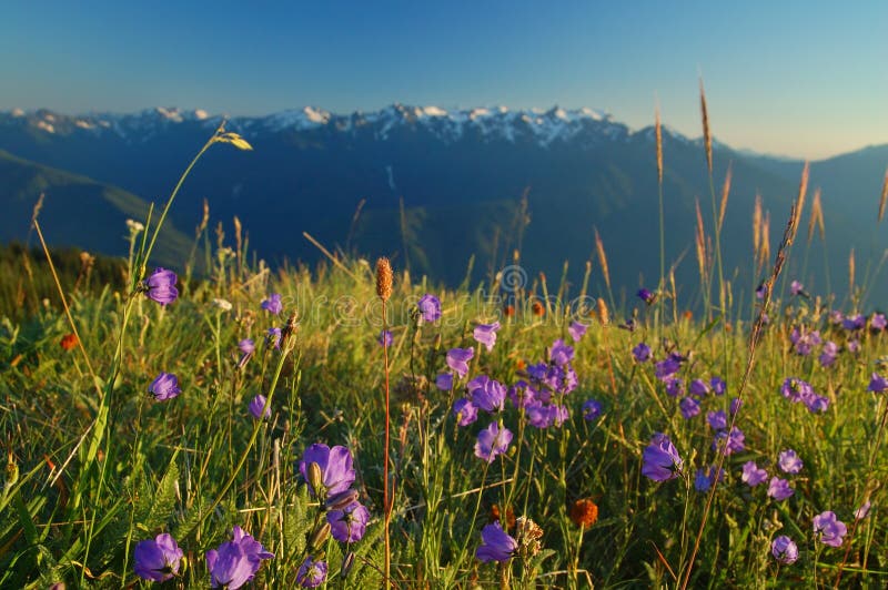 Mountain landscape