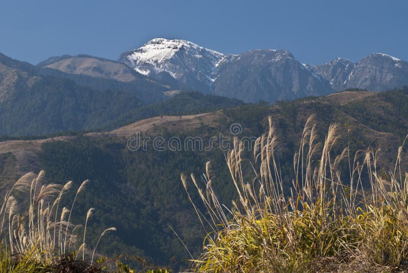 Mountain landscape with sway grass in shei-pa national park in Taiwan.