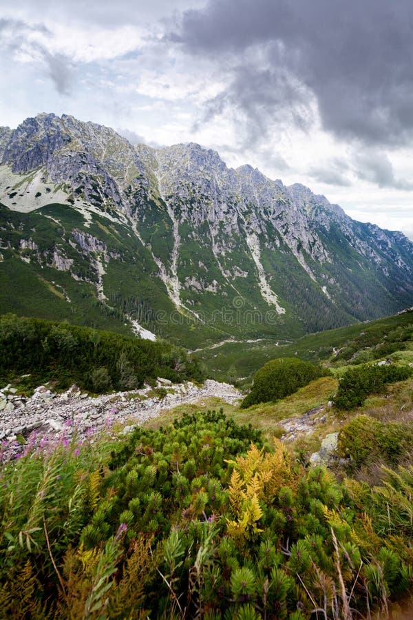 Mountain landscape