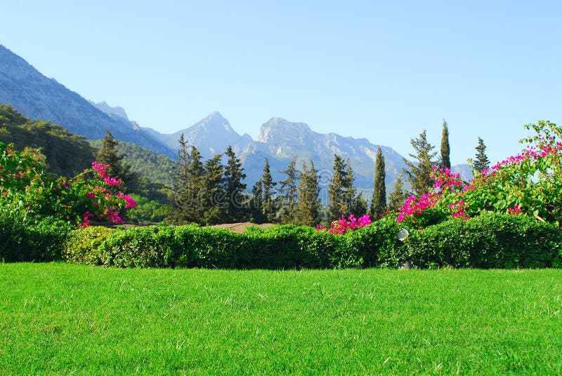 Mountain landscape