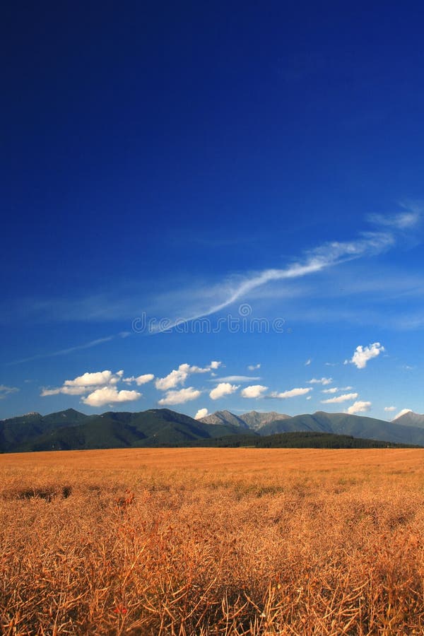 Mountain landscape