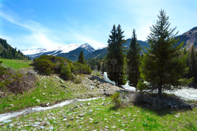 Mountain landscape