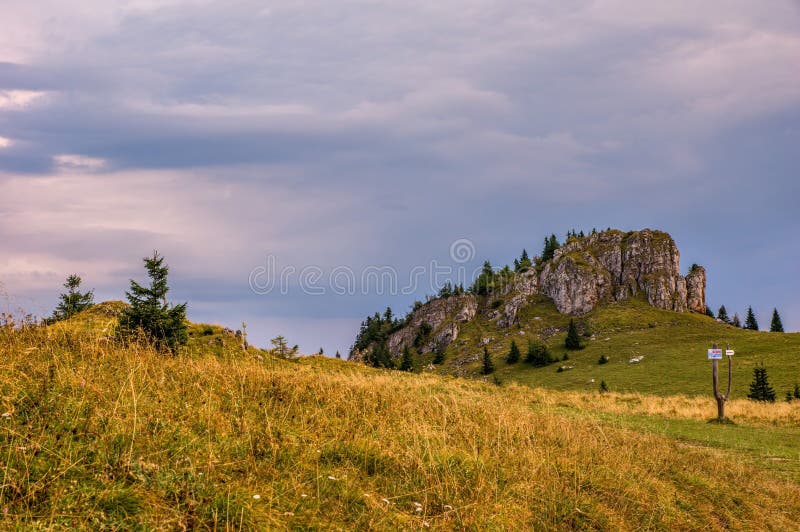 Mountain landscape with beautiful colorful sky, rocky cliff and mountain meadows with trees.