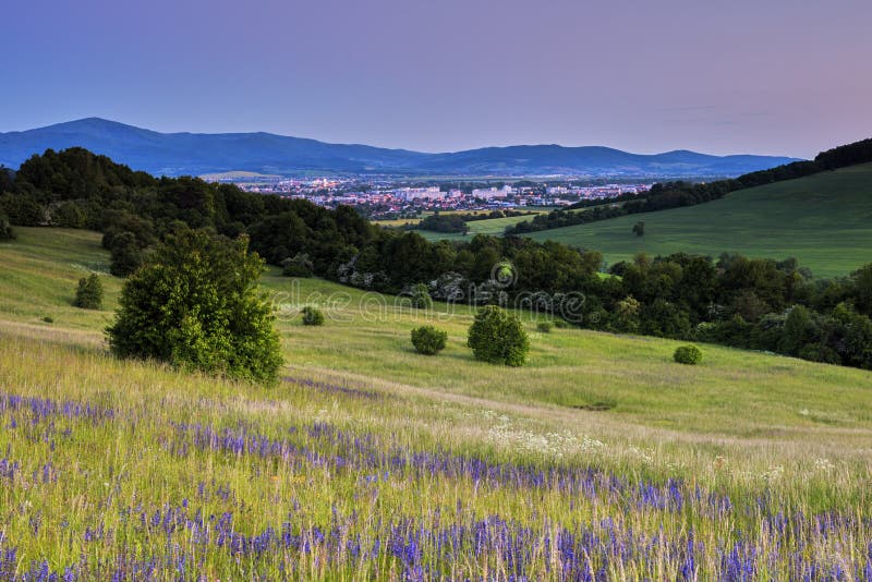 Horská krajina s rozkvetlou loukou a výhledy na vzdálené město za soumraku. Hrabovka, Trenčín Slovensko.