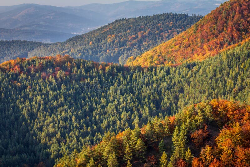 Mountain landscape with a forests in a autumn colors