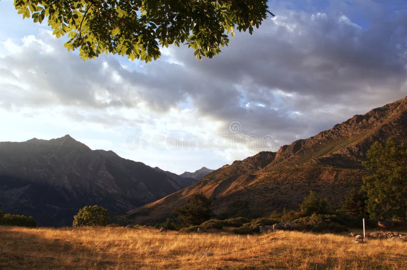 18,095 Grassy Field Mountain Landscape Stock Photos - Free