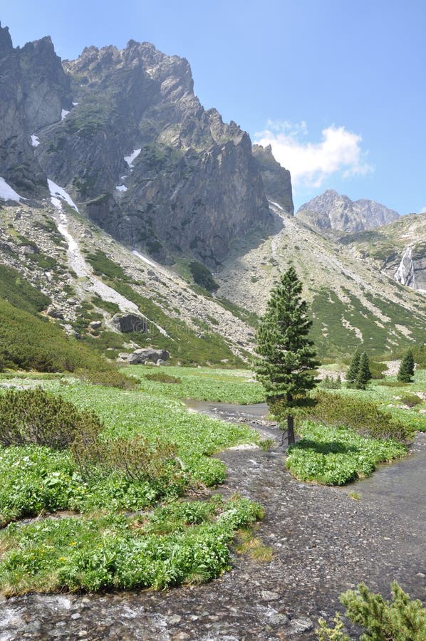 Mountain landscape High Tatras