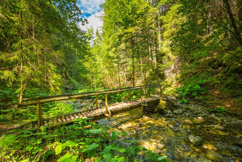 Mountain landscape in the Juranova dolina - valley in The Wester