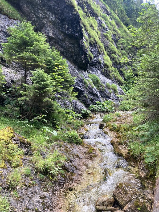 Horská krajina v Juranovej doline - dolina v Západných Tatrách, Tatranský národný park, Slovensko, Európa