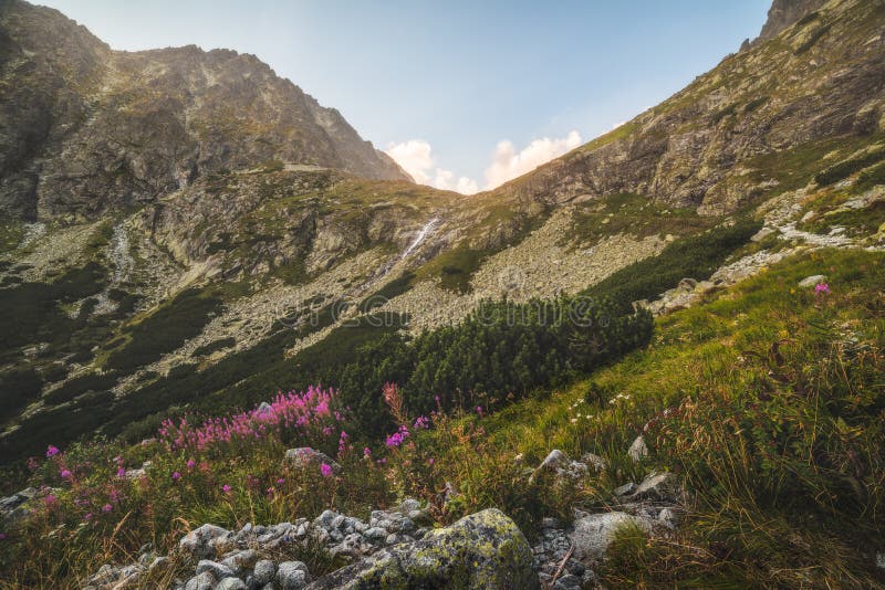 Mountain Landscape