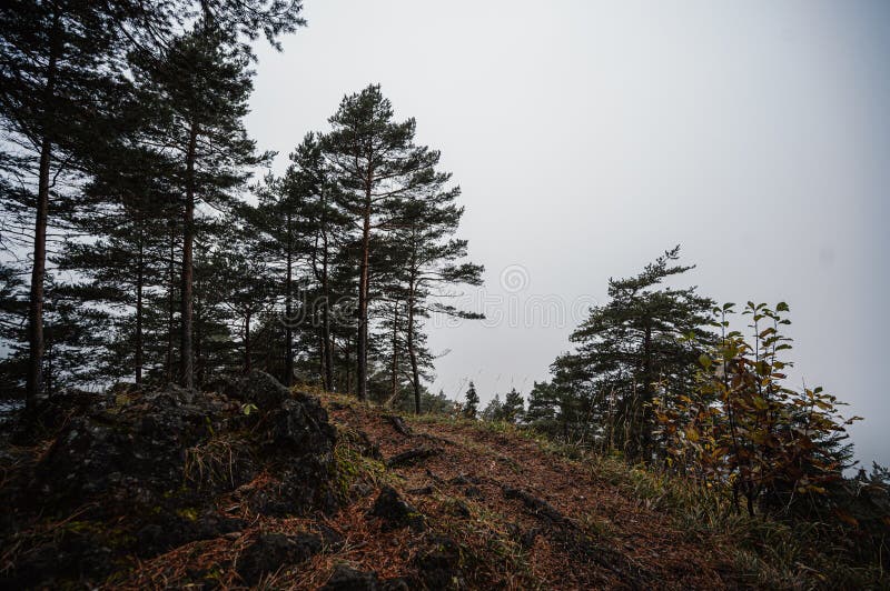 Mountain landscape. Misty forest. Natural outdoor travel background. Slovakia, Low Tatras, Demenovska hora and dolina vyvierania.