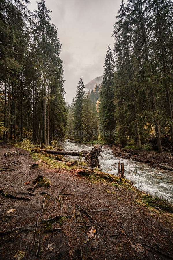 Mountain landscape. Misty forest. Natural river stream. Slovakia, Low Tatras, Demenovska hora and dolina vyvierania. Liptov travel