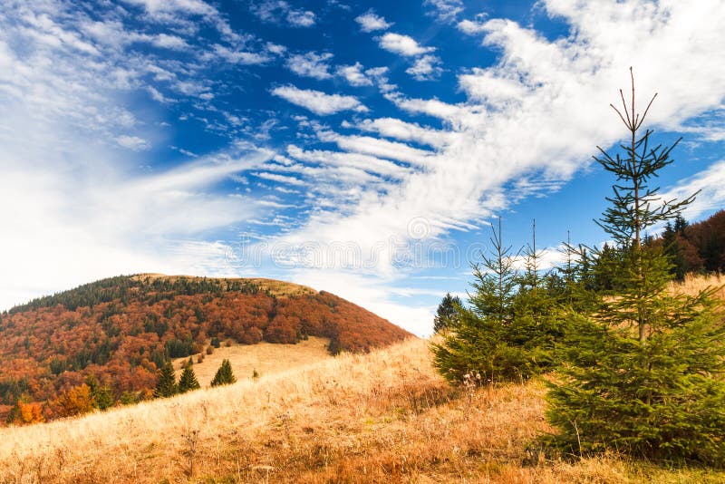 Mountain landscape.