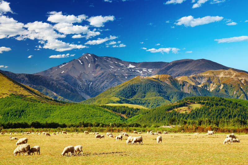 Mountain landscape, New Zealand royalty free stock image Mountain landscape, New Zealand royalty free stock image