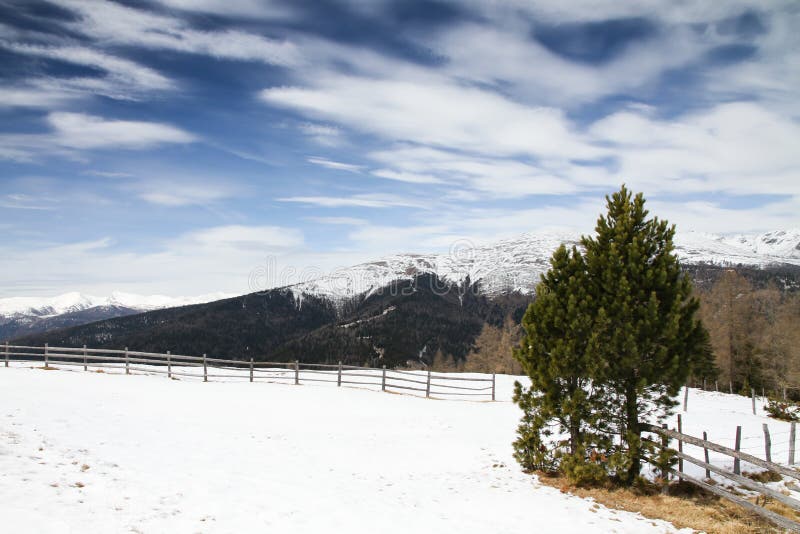 Mountain landscape panorama with spruce and pine trees and ground covered by snow in a ski area in the Alps during a sunny day