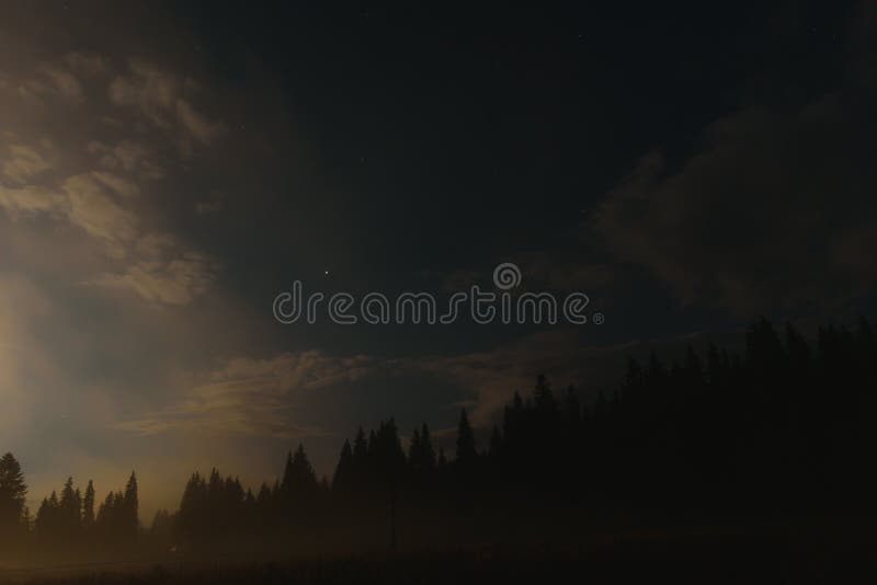 Mountain Landscape Pine Trees Near Valley And Colorful Forest On