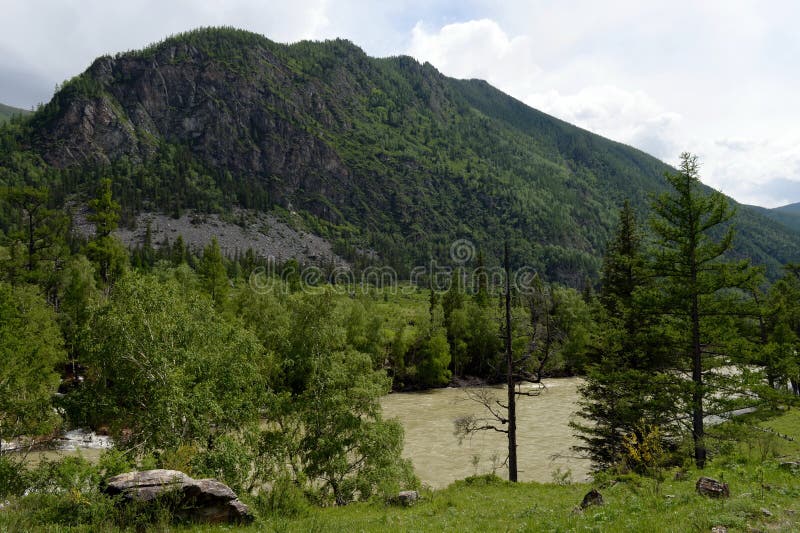 Mountain Landscape By The River Chuya Altai Republic Siberia Russia