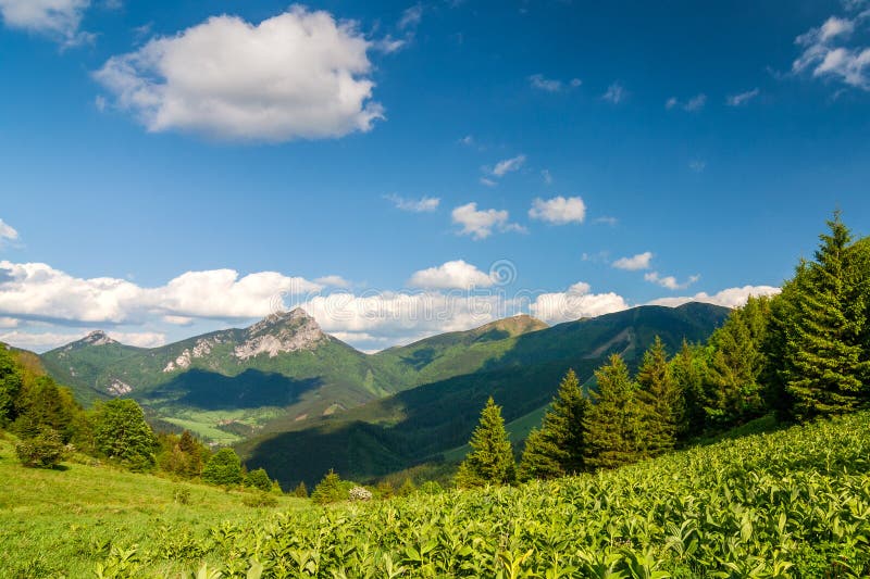 Horská krajina na jaře, národní park Malá Fatra.