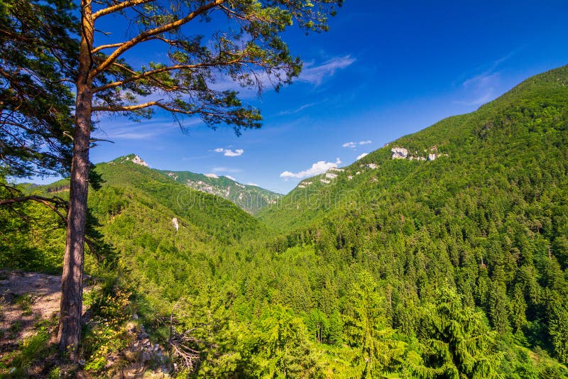 Horská krajina na jar, národný park Veľká Fatra