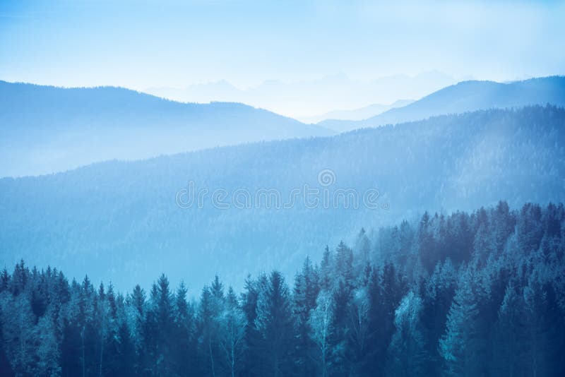 Mountain landscape with spruce and pine trees in the Austrian Alps during a calm bright sunny day with visible light rays