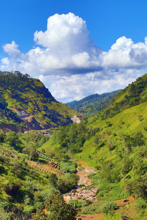 Mountain Landscape in Sri Lanka Stock Image Image of farm, terrace