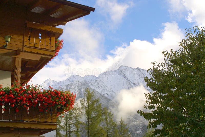 Mountain Lodge - Flowers