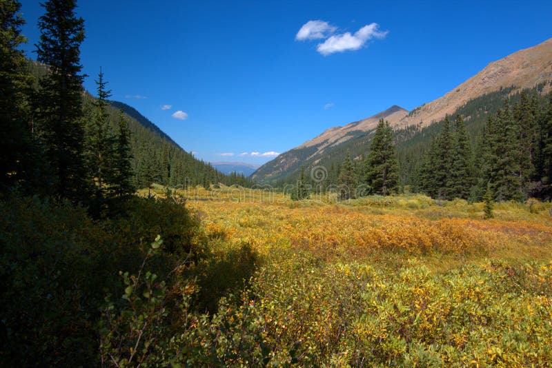 Mountain Meadow Surrounded by Glowing Aspens in the Fall Stock Photo