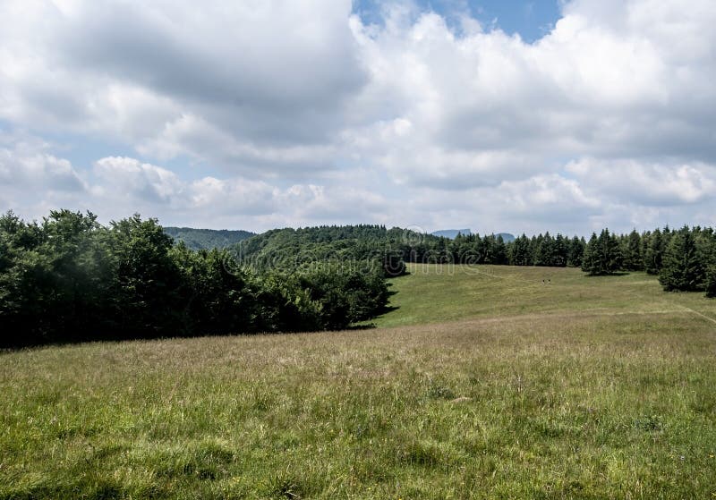 Mountain meadow with trees around and hills on the background in Carpathians