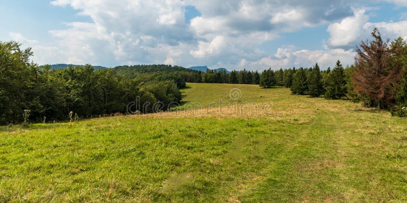 Mountain meadow with trees around and hills on the background on Jankova hill in Mala Fatra mountains in Slovakia