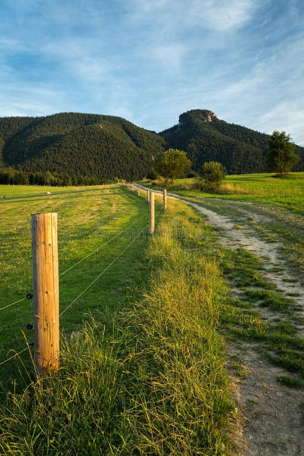 Mountain meadows and pastures in Slovakia