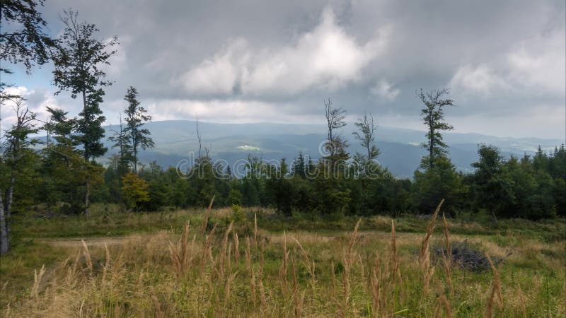 Mountain panorama, meadow, forest with mountains in background and dramatic cloudscape