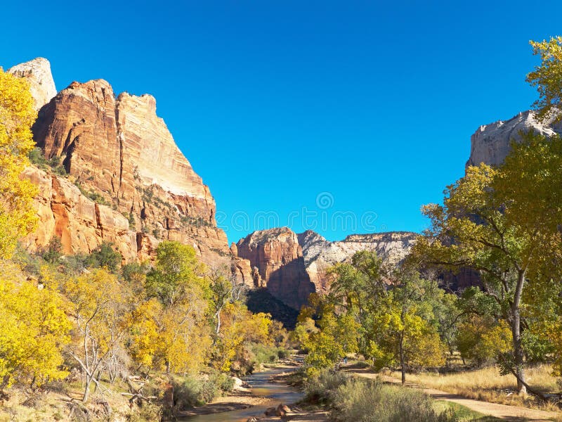 La roca formación a rechazar colores en árboles en Sión en, unido Estados de.